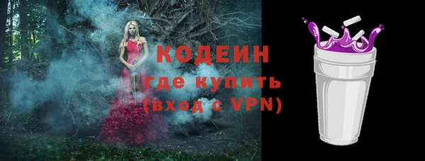 дмт Костерёво