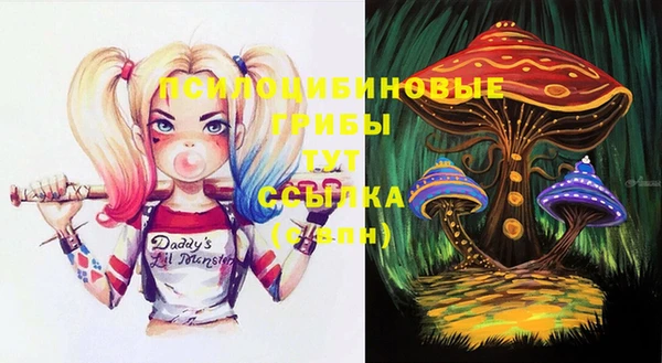 мяу мяу мука Корсаков